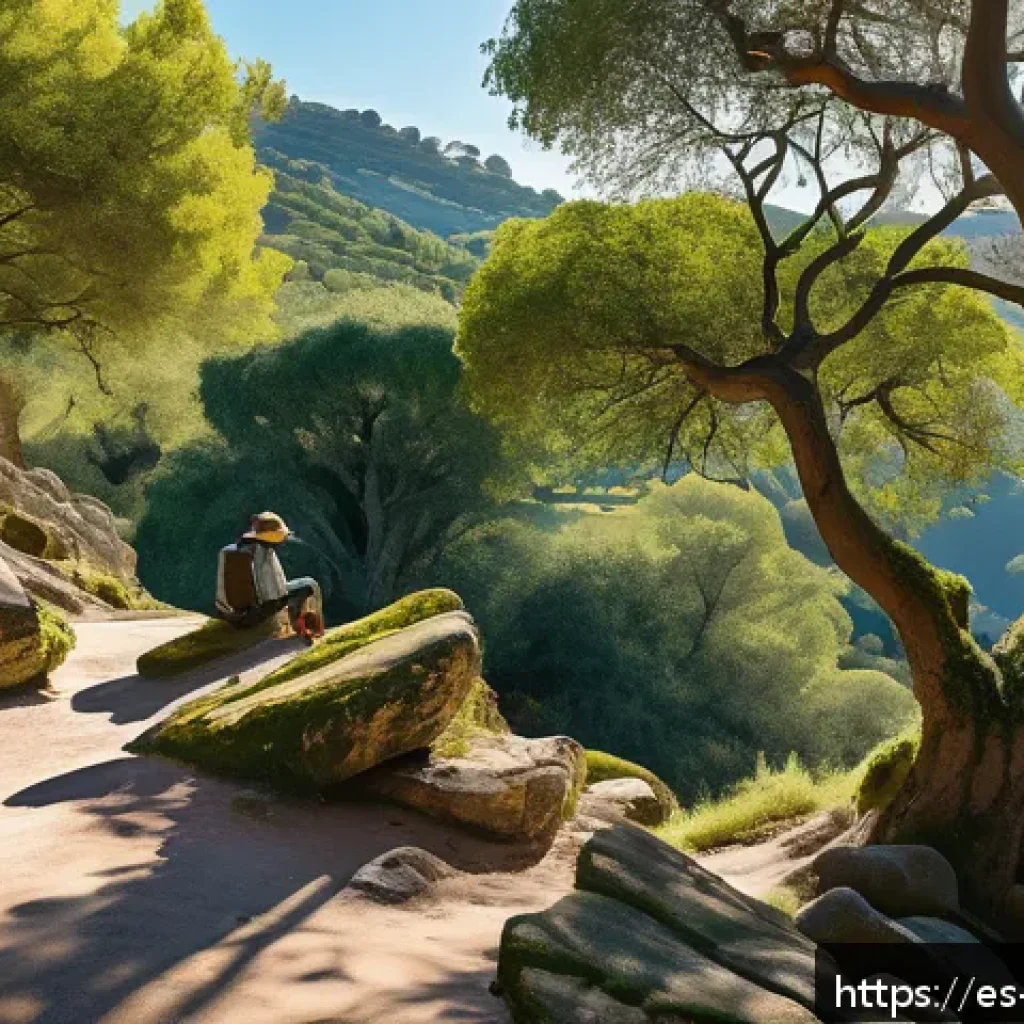 역사적 도보 루트 트레킹과 함께하는 창작 활동 - A serene historical hiking trail in the Spanish countryside during golden hour, featuring ancient st...
