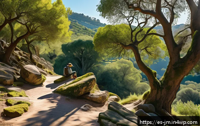 역사적 도보 루트 트레킹과 함께하는 창작 활동 - A serene historical hiking trail in the Spanish countryside during golden hour, featuring ancient st...
