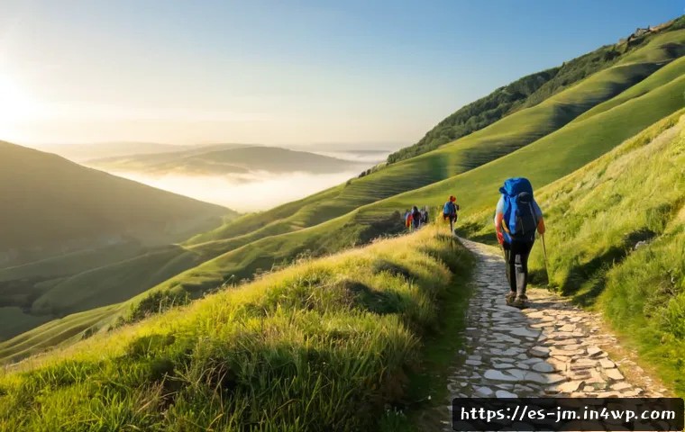Home 17 세계적인 역사적 도보 루트 트레킹 소개 - Photorealistic wide landscape of hikers walking the ancient Camino de Santiago across rolling green ...